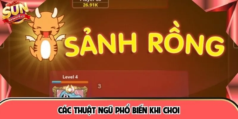 Các thuật ngữ phổ biến khi chơi 